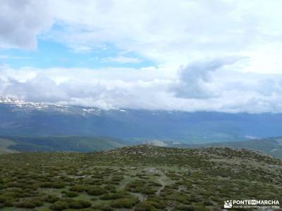 Cuerda Larga-Morcuera_Navacerrada;rutas a caballo hoces del duraton ermita templaria cañon rio lobo